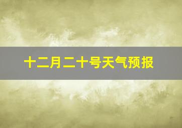 十二月二十号天气预报