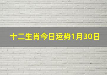 十二生肖今日运势1月30日