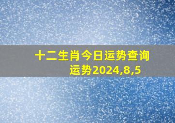 十二生肖今日运势查询运势2024,8,5