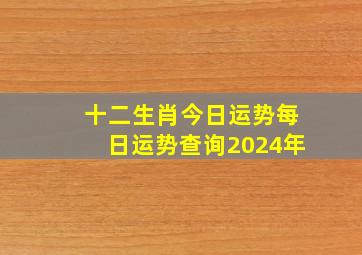 十二生肖今日运势每日运势查询2024年