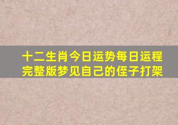 十二生肖今日运势每日运程完整版梦见自己的侄子打架