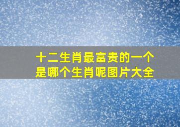 十二生肖最富贵的一个是哪个生肖呢图片大全