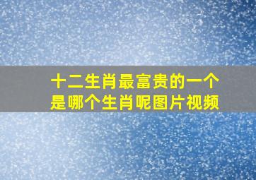 十二生肖最富贵的一个是哪个生肖呢图片视频