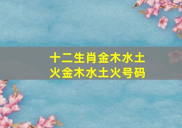 十二生肖金木水土火金木水土火号码