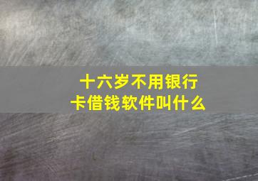 十六岁不用银行卡借钱软件叫什么