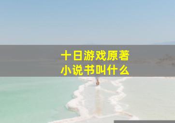 十日游戏原著小说书叫什么