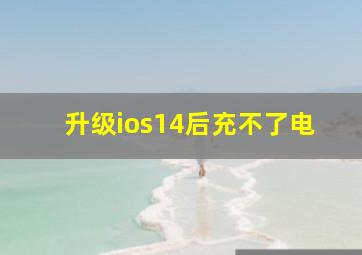 升级ios14后充不了电