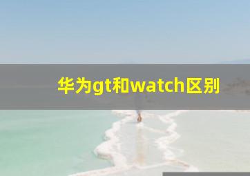 华为gt和watch区别