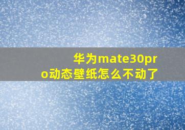 华为mate30pro动态壁纸怎么不动了