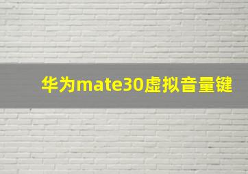 华为mate30虚拟音量键