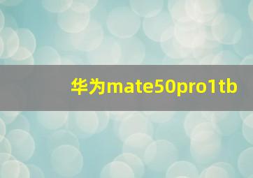 华为mate50pro1tb