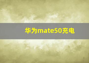 华为mate50充电