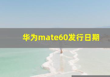 华为mate60发行日期