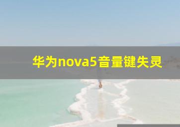 华为nova5音量键失灵