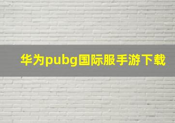 华为pubg国际服手游下载