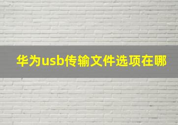 华为usb传输文件选项在哪