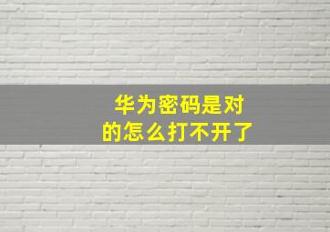 华为密码是对的怎么打不开了