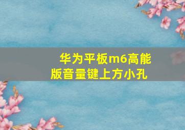 华为平板m6高能版音量键上方小孔