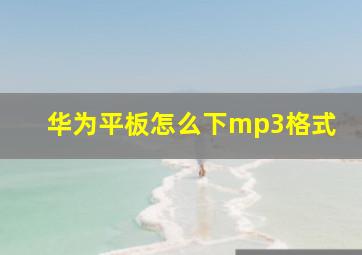 华为平板怎么下mp3格式