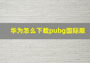 华为怎么下载pubg国际服