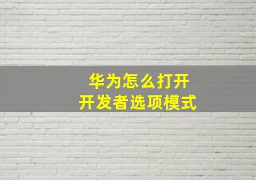 华为怎么打开开发者选项模式