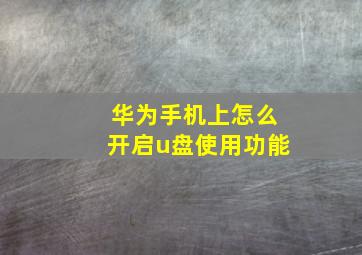 华为手机上怎么开启u盘使用功能