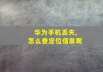 华为手机丢失,怎么查定位信息呢