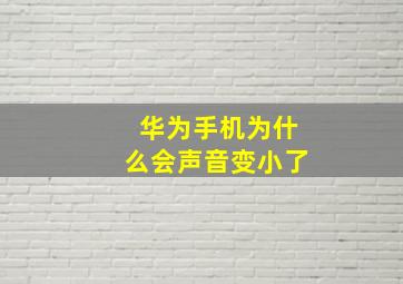 华为手机为什么会声音变小了