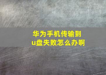 华为手机传输到u盘失败怎么办啊