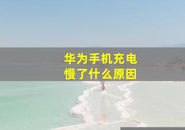 华为手机充电慢了什么原因