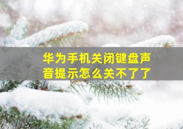 华为手机关闭键盘声音提示怎么关不了了