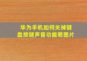 华为手机如何关掉键盘按键声音功能呢图片