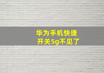 华为手机快捷开关5g不见了