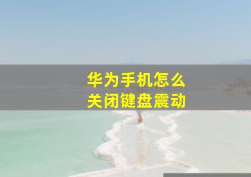 华为手机怎么关闭键盘震动