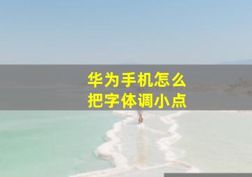 华为手机怎么把字体调小点