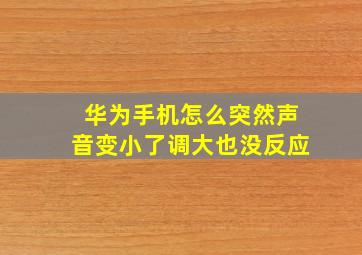 华为手机怎么突然声音变小了调大也没反应