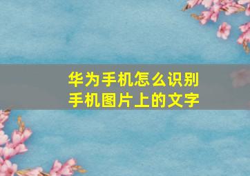 华为手机怎么识别手机图片上的文字