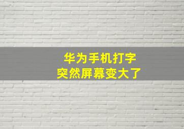 华为手机打字突然屏幕变大了