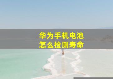 华为手机电池怎么检测寿命