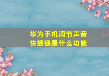 华为手机调节声音快捷键是什么功能