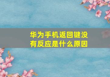 华为手机返回键没有反应是什么原因