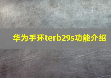 华为手环terb29s功能介绍