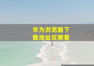 华为浏览器下载地址在哪看