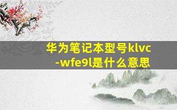 华为笔记本型号klvc-wfe9l是什么意思