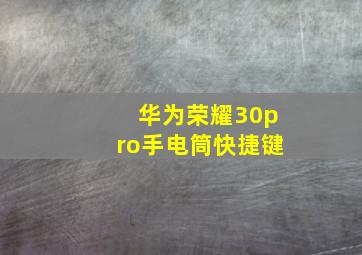 华为荣耀30pro手电筒快捷键