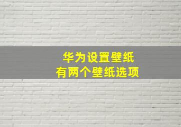 华为设置壁纸有两个壁纸选项