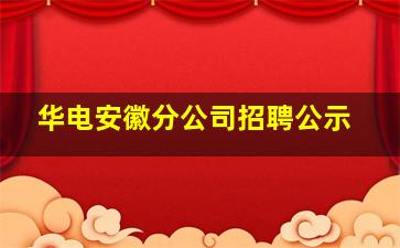 华电安徽分公司招聘公示