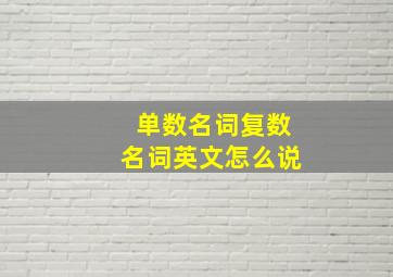 单数名词复数名词英文怎么说