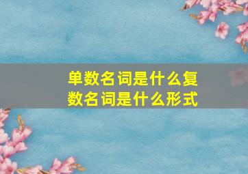 单数名词是什么复数名词是什么形式