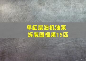 单缸柴油机油泵拆装图视频15匹